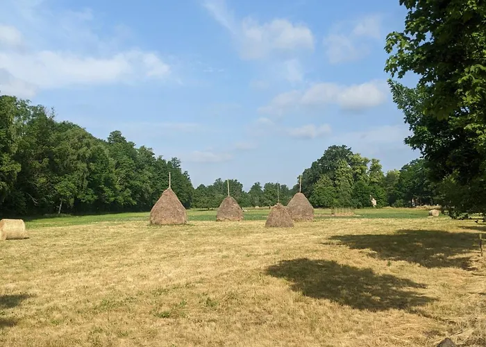 Am Waldrand Spreewald