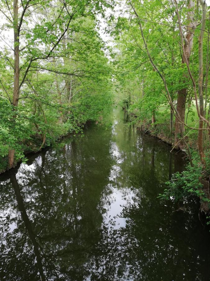 Am Waldrand Spreewald *