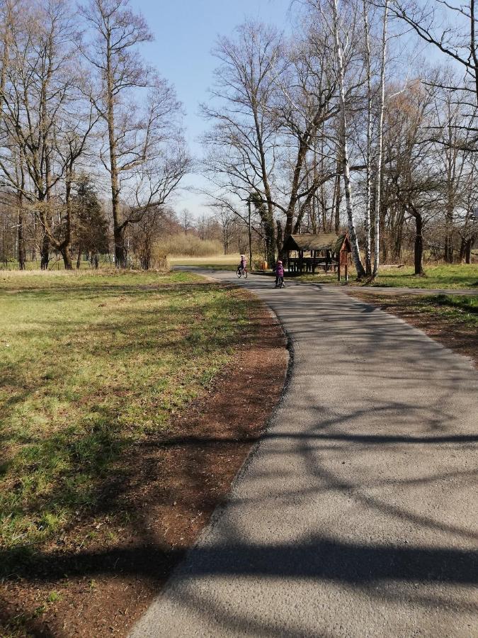 Am Waldrand Spreewald *