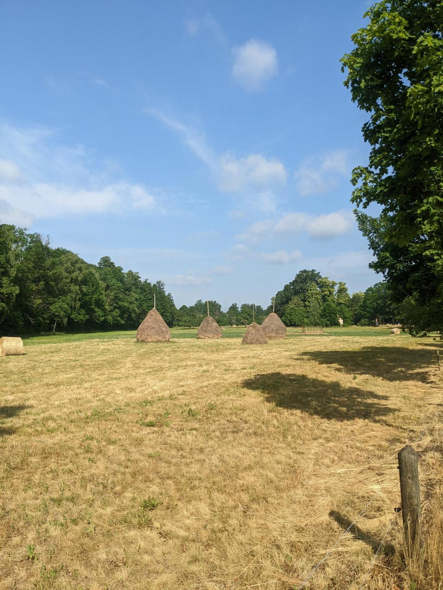 Am Waldrand Spreewald Burg (Spreewald)